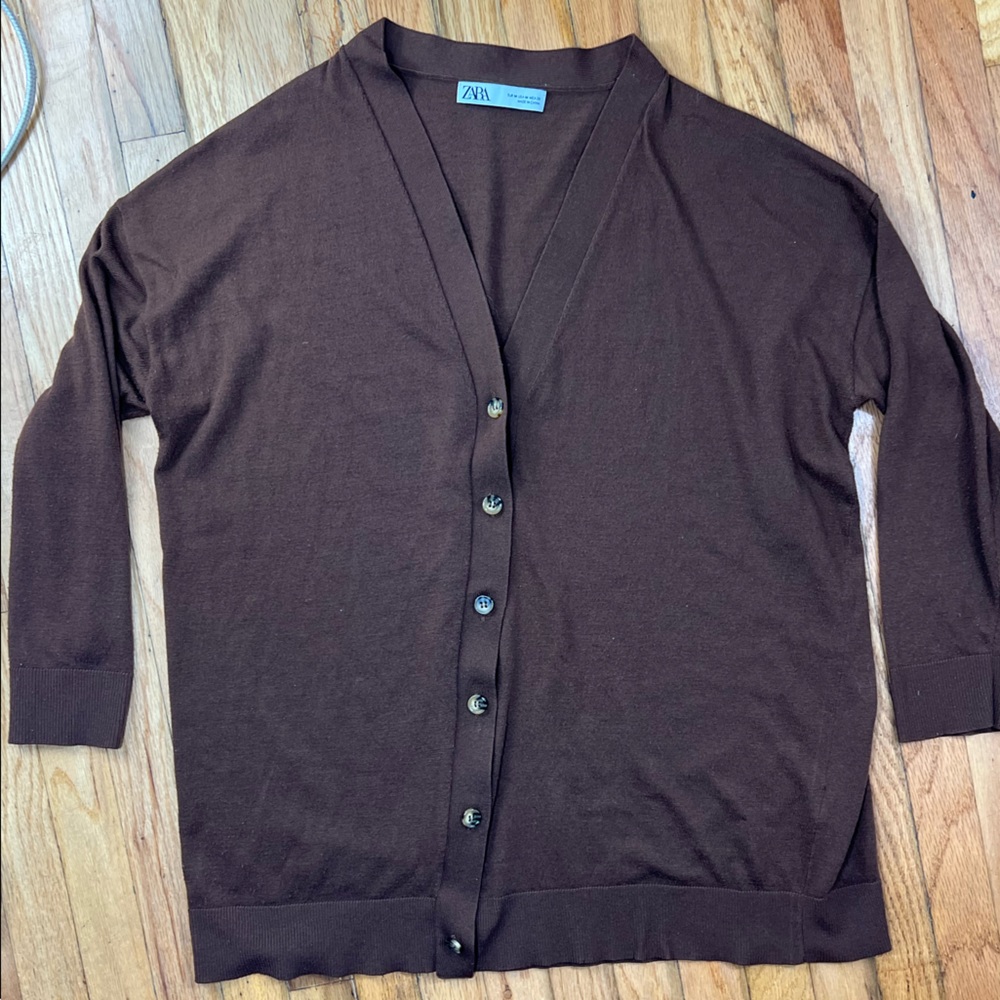 Brown Zara Sweater